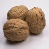 Quality Walnuts for sale