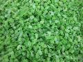 frozen celery dice