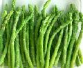 GREEN ASPARAGUS
