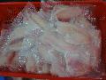 Tilapia   Fillet s