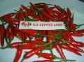 Fresh   Chilli /  Red   Pepper 