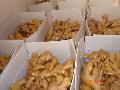 Ginger for USA market