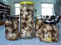 CANNED STRAW MUSHROOMS