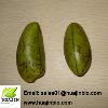 5-HTP (Groffonia Beanr P.E)