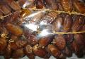  DATES   FRUIT S