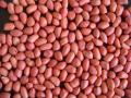 RED SKIN PEANUT