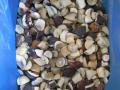 2010 crop whole - Boletus Edulis