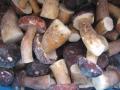 Wild  porcini   mushroom   boletus   eduli s