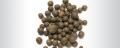 Allspice
