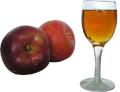 apple extract(polyphenols 75%)