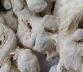 DRIED GINGER