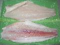 UNTRIMMED PANGASIUS
