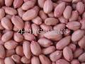 peanut  kernel (Long type)
