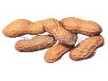 Roasted peanut in shell