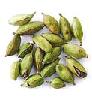 CARDAMOM
