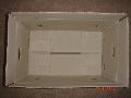 Ginger In  Packing  carton