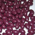 Co-Enzyme Q10 softgel