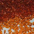  Lecithin  Softgel