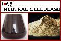  Cellulase 