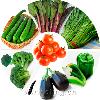 fresh vegetable