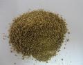 Green tea beverage mix