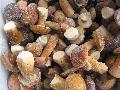 appetizing boletus