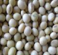 soya bean