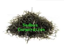 Seaweed Strip