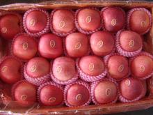 selling red fuji apple