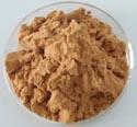 Tea  Catechin s
