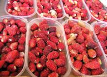 Strawberries