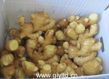 Supply Half air dried ginger