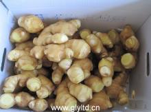 Half air dried ginger to European countries