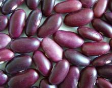  Wine - Color ed Kidney Beans