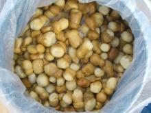 Brined Boletus Edulis (whole)