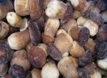 Frozen   Boletus   Edulis 