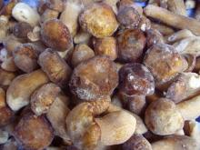  IQF   Boletus   Edulis 