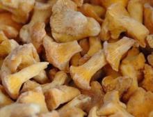 Frozen Chanterelle