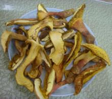 Dried Boletus Slice (Class C)