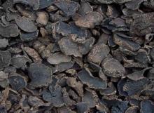  Dried   Black   Truffle s (Slices)