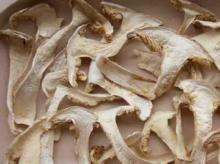Dried Matsutake