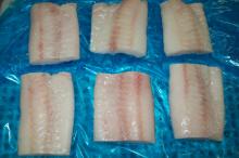 frozen cod