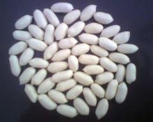 best quality blanched peanut 25/29