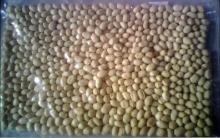 blanched peanut round type 41/51