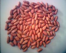 peanut kernels 45/55