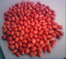 round type peanut kernels 50/60