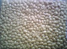 round type blanched peanut 36/41