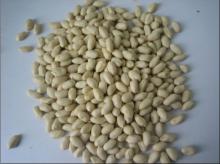 blanched peanut 35/39