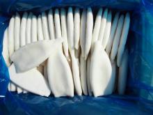 Frozen Seafood_Squid Tube U10