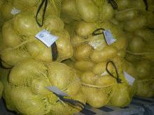  2012  new fresh  holland   potato es